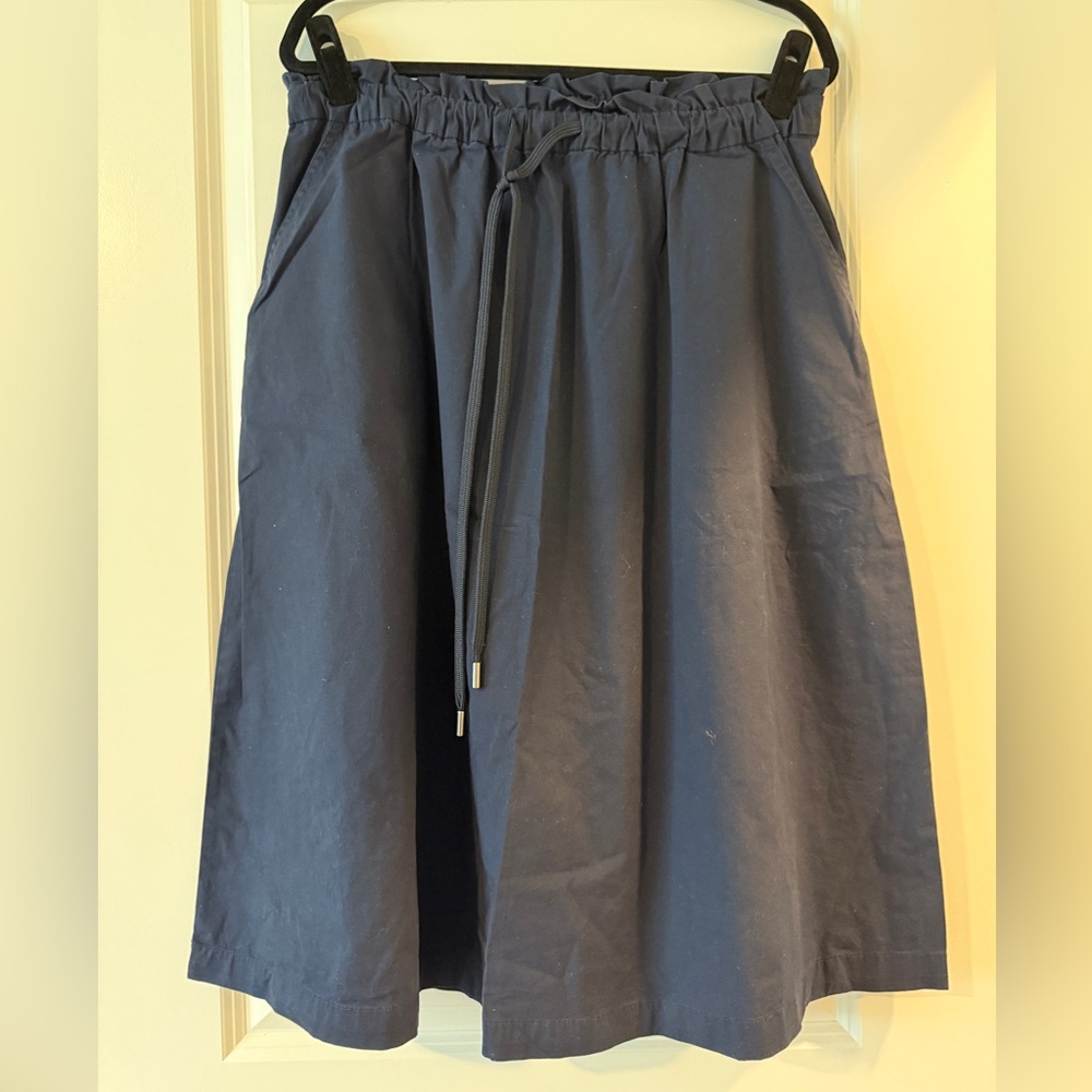Banana Republic Midnight Blue Skirt